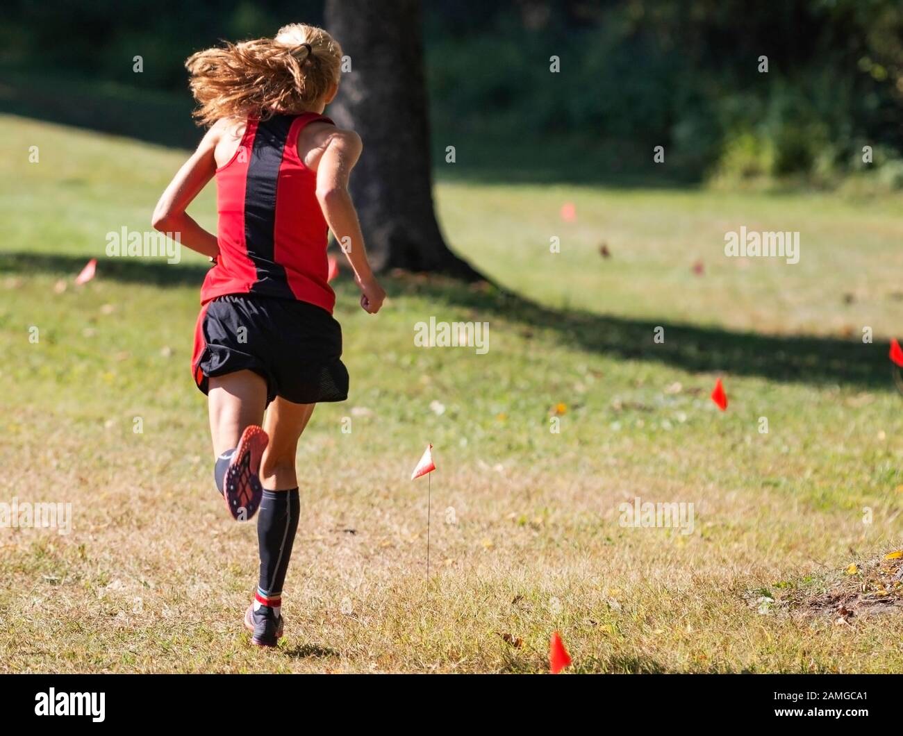 Rear view of a high school teenage girl running on a grass cross country course marked by small red flags. Stock Photo