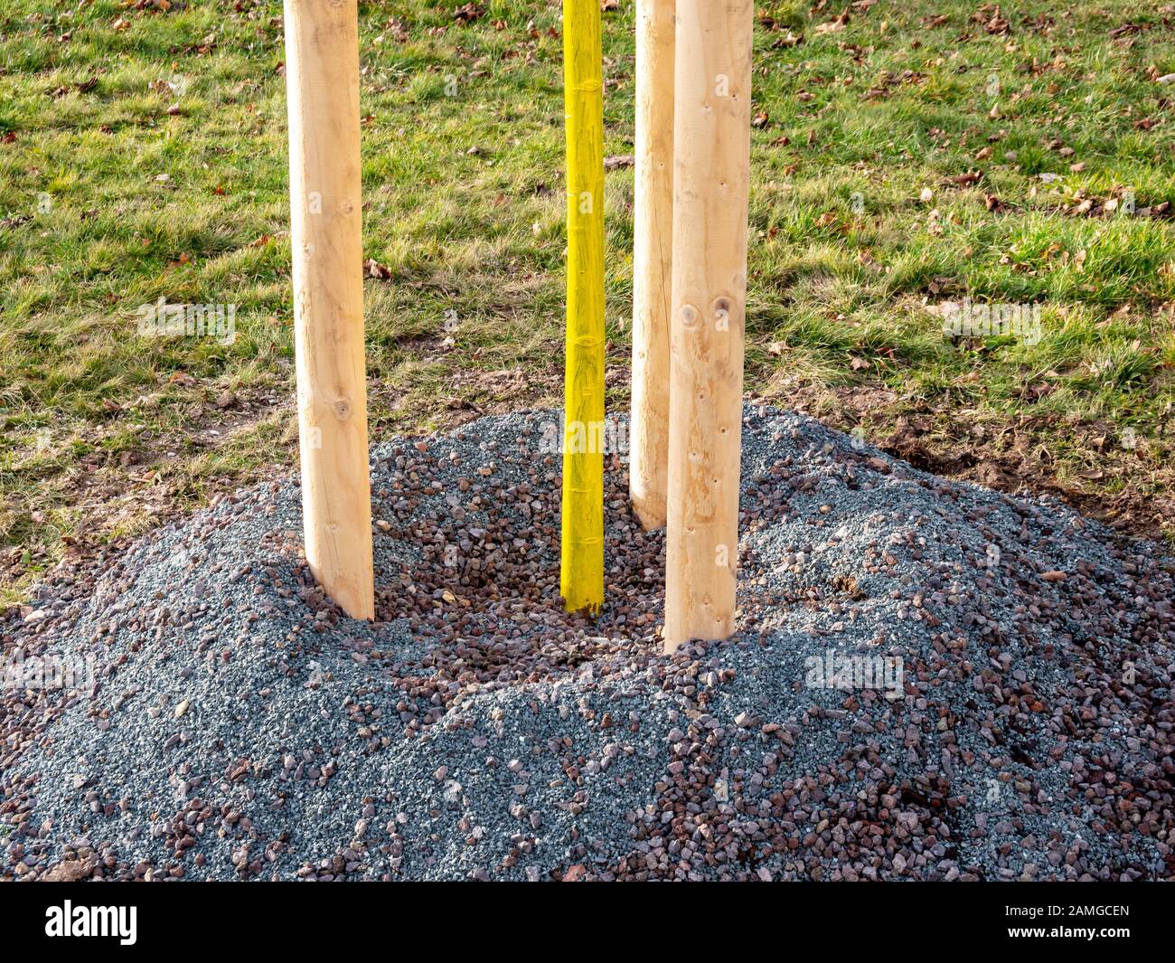 Tree protection Bark is protected on a tree Stock Photo - Alamy