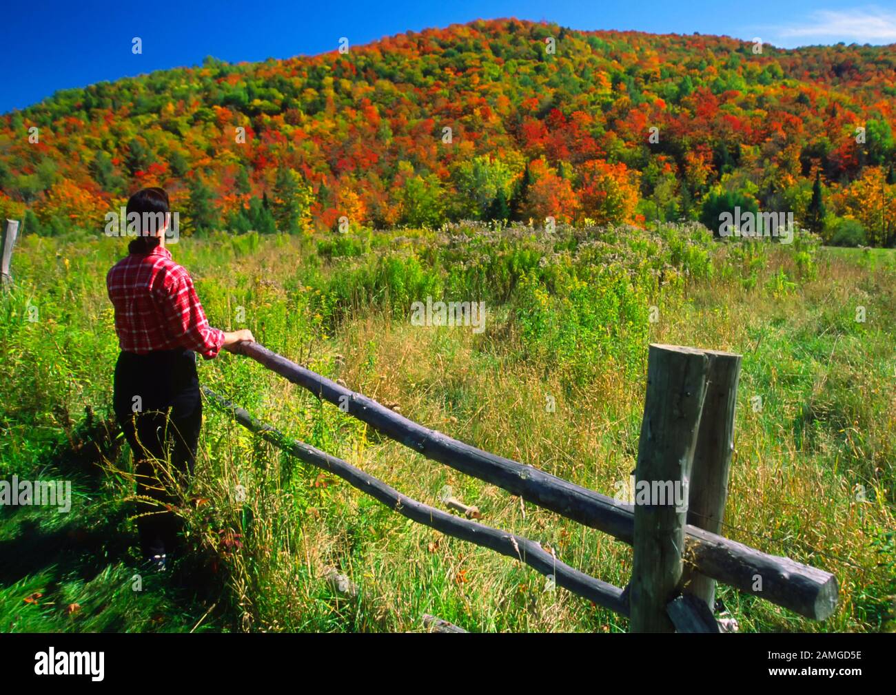 an autumn scene with a girl and fence in East Orange, Vermont, USA Stock Photo