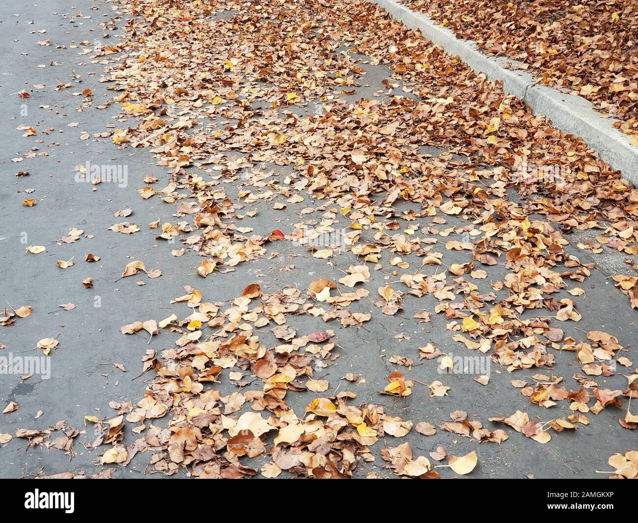 Weather hazards hires stock photography and images Alamy