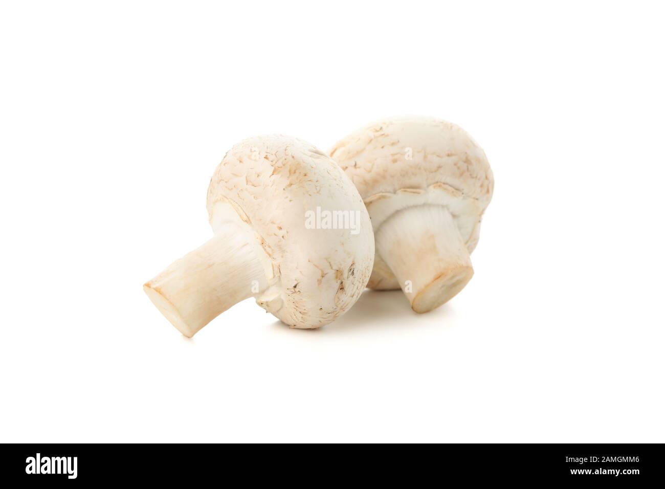 Сhampignon mushrooms isolated on white background, close up Stock Photo