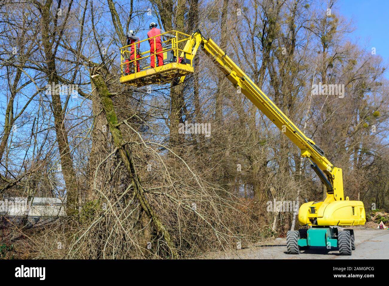 Treeworker doing their job with a skylift Stock Photo Alamy
