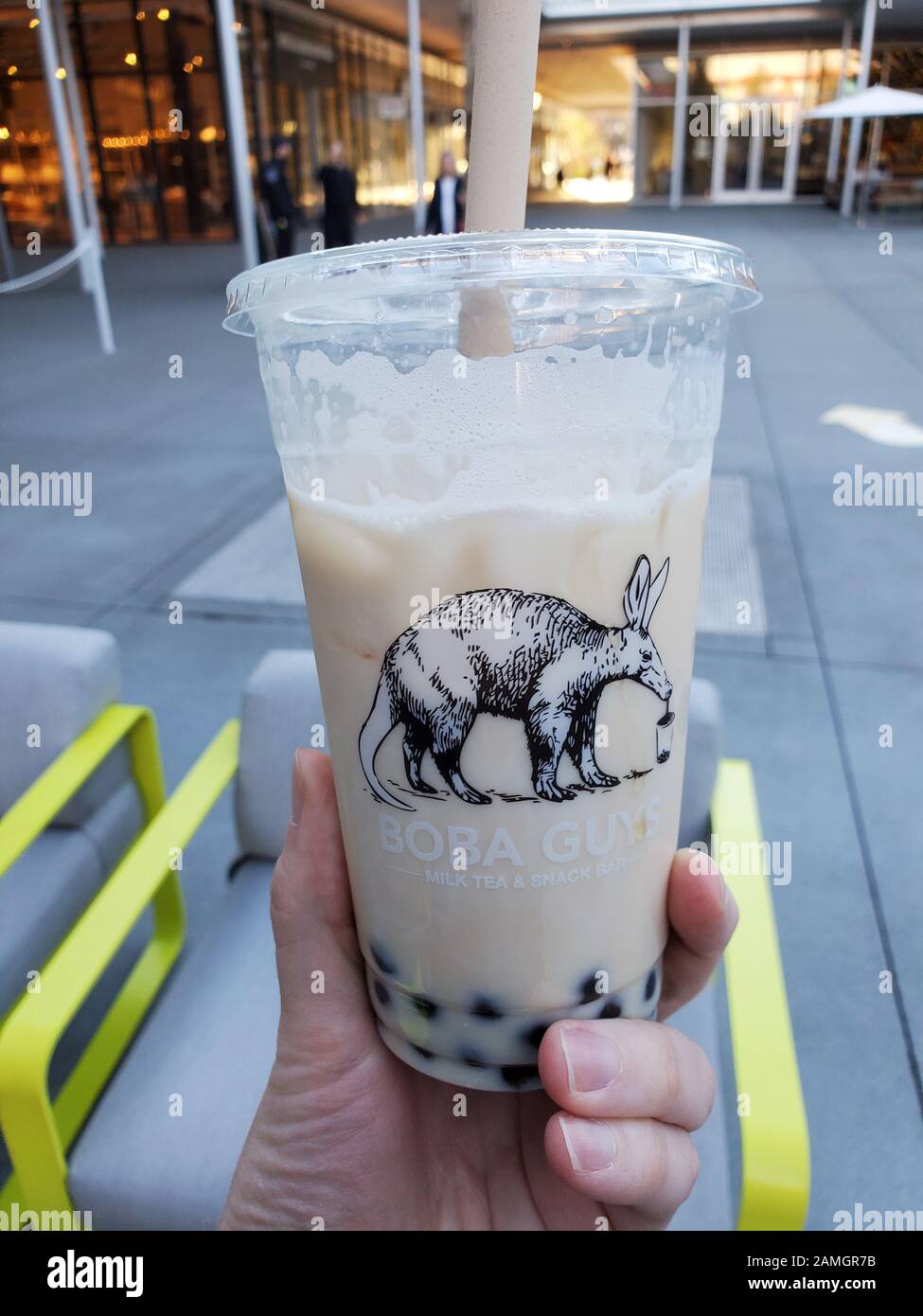 Close-up of hand of a man holding a container of Jasmine milk tea with tapioca bubbles (bubble tea or boba tea) from Boba Guy in shopping mall setting, San Ramon, California, January 2, 2020. () Stock Photo