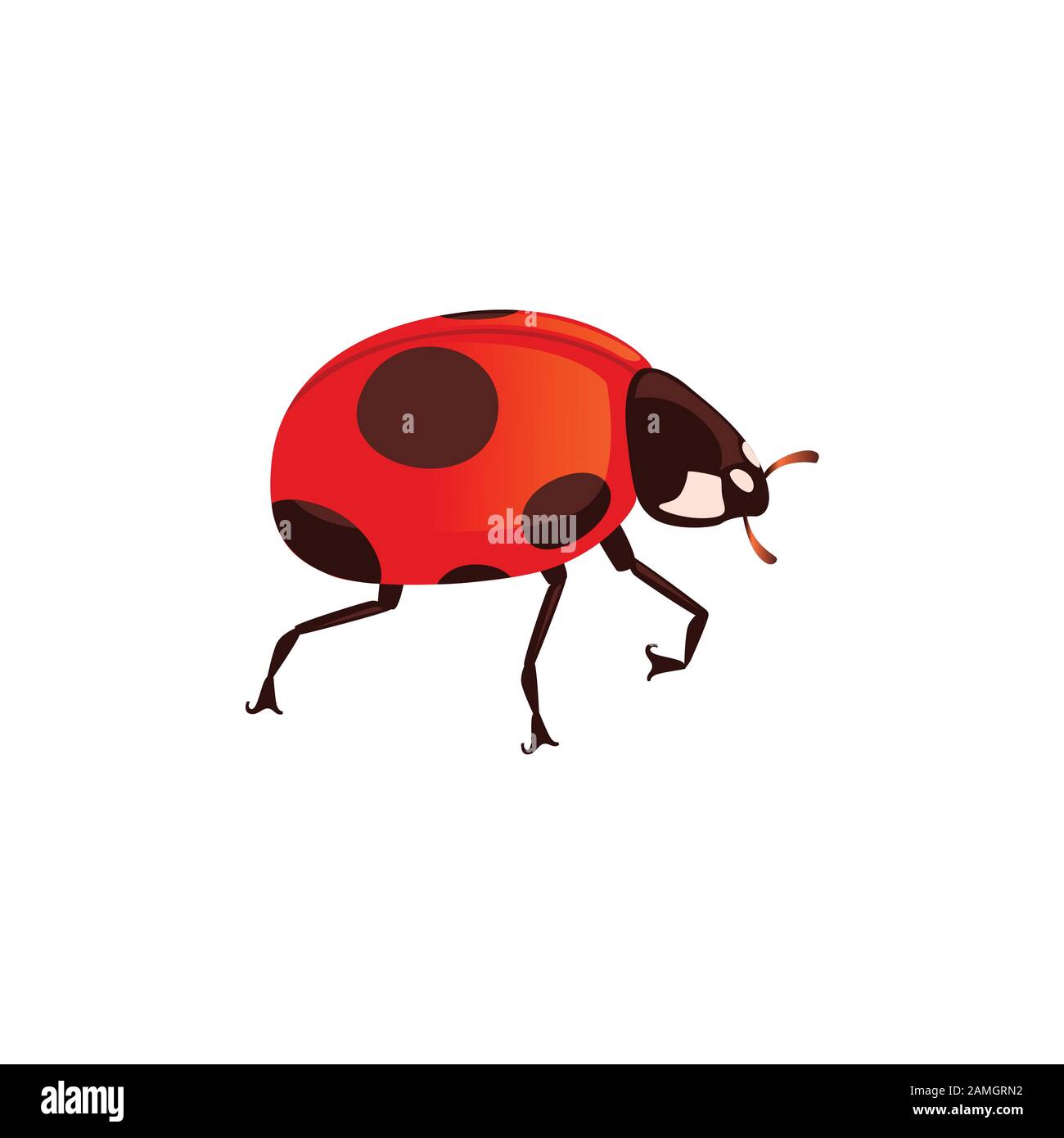 Ladybug with closed shell beetle cartoon bug design flat vector illustration isolated on white background. Stock Vector