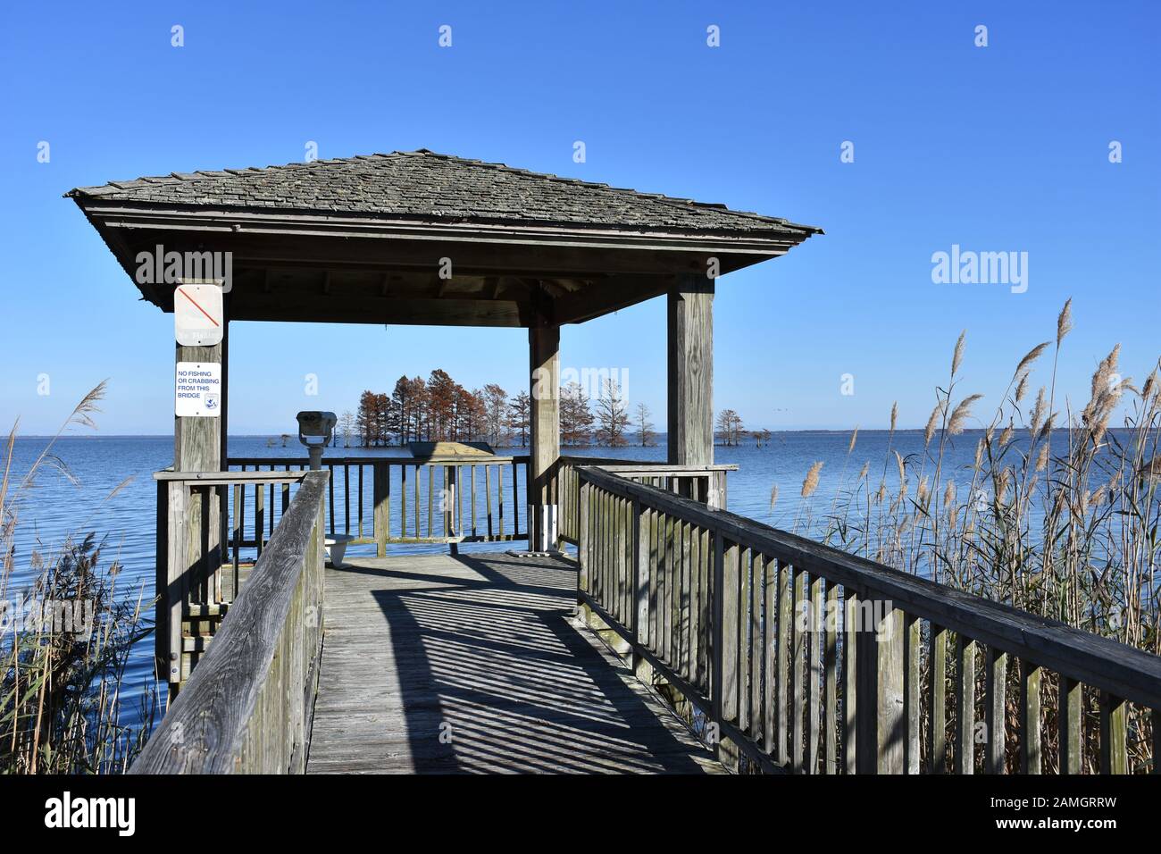 Lake Mattamuskeet located in the Mattamuskeet National Wildlife Refuge