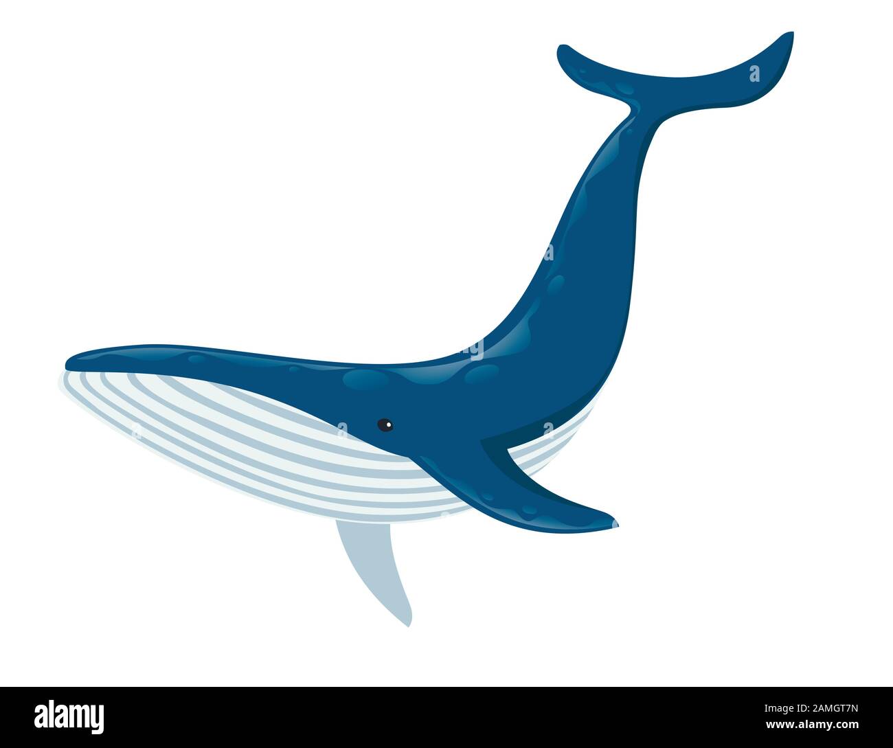 Big blue whale cartoon animal design biggest mammal on the earth flat  vector illustration isolated on white background Stock Vector Image & Art -  Alamy