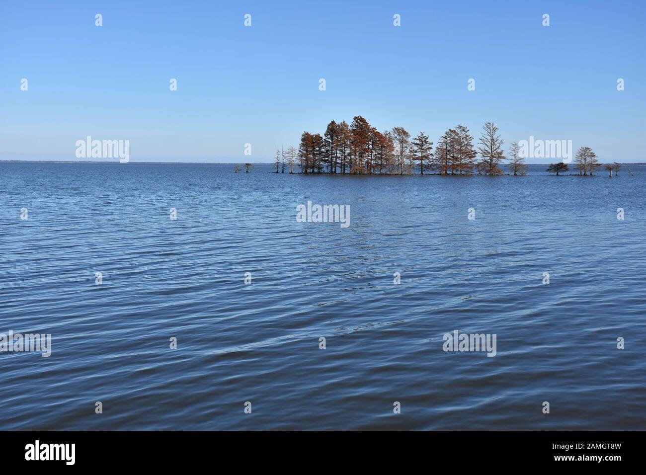 Lake Mattamuskeet located in the Mattamuskeet National Wildlife Refuge