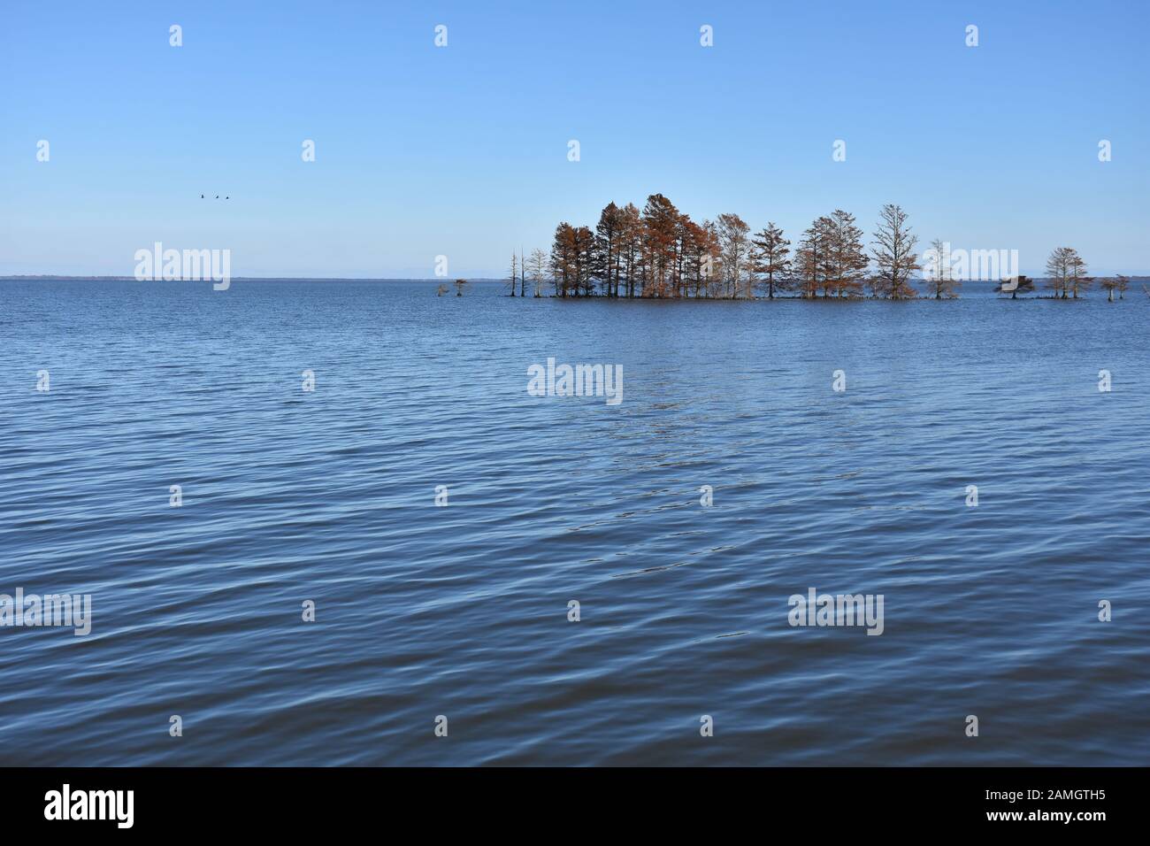 Lake Mattamuskeet located in the Mattamuskeet National Wildlife Refuge