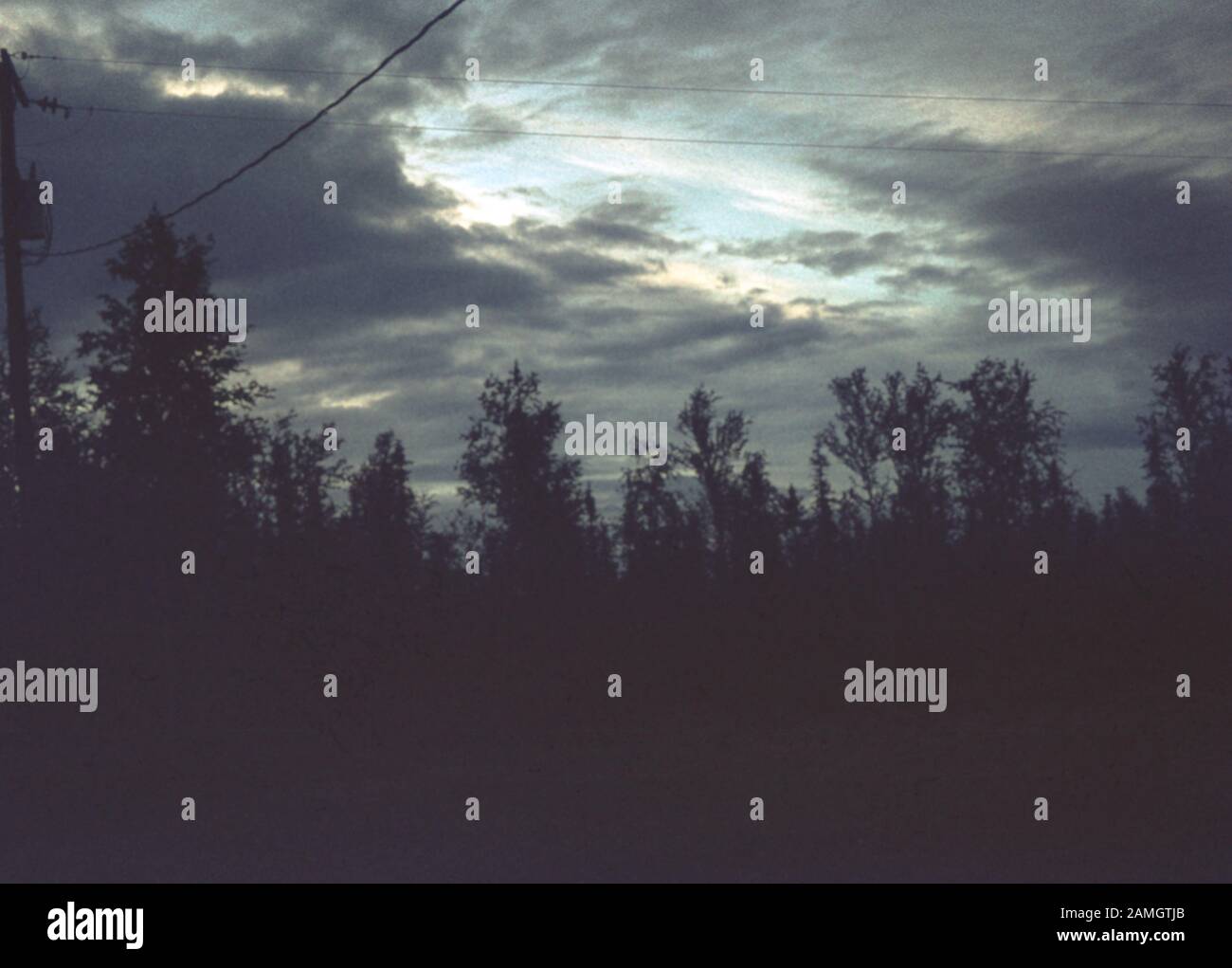 Vernacular photograph taken on a 35mm analog film transparency, believed to depict silhouette of trees under cloudy sky during daytime, 1965. Major topics/objects detected include Sky, Cloud, Nature, Tree, Light, Evening, Landscape, Sunset, Dusk and Wood. () Stock Photo