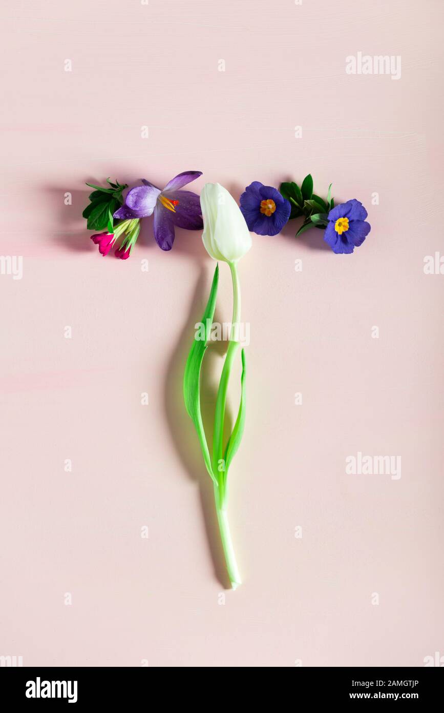 Easter minimal concept. Letter T made from spring flowers on the pink background Stock Photo