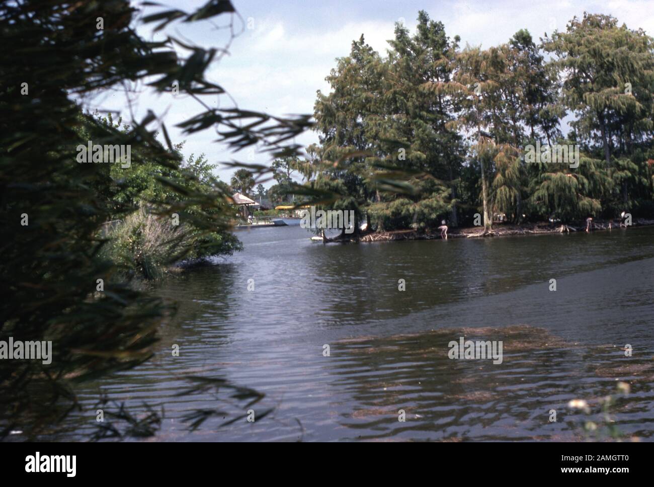 Vernacular photograph taken on a 35mm analog film transparency, believed to depict green trees beside river under white clouds and blue sky during daytime, November 23, 2019. Major topics/objects detected include Water, River, Bank, Tree, Bayou, Lake, Reflection, Riparian Forest and Nature. () Stock Photo