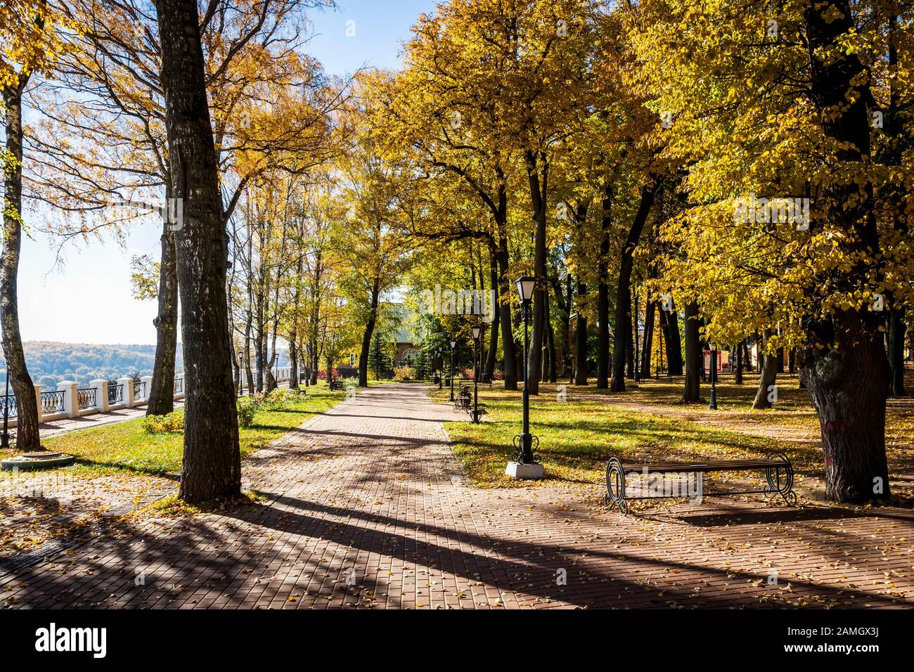 Yellow leaf fall in the park in golden autumn. Landscape with maples ...