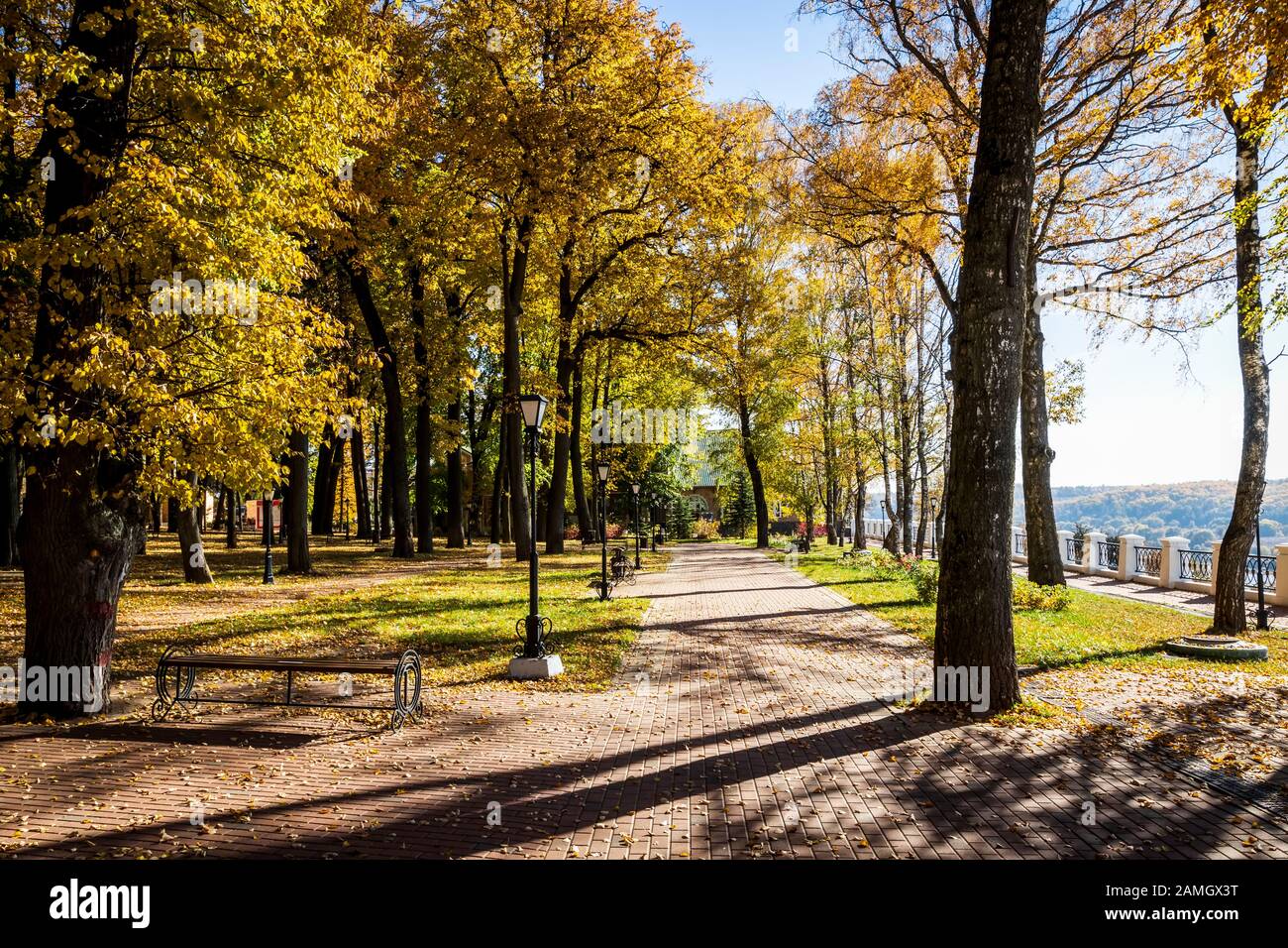 Yellow leaf fall in the park in golden autumn. Landscape with maples ...