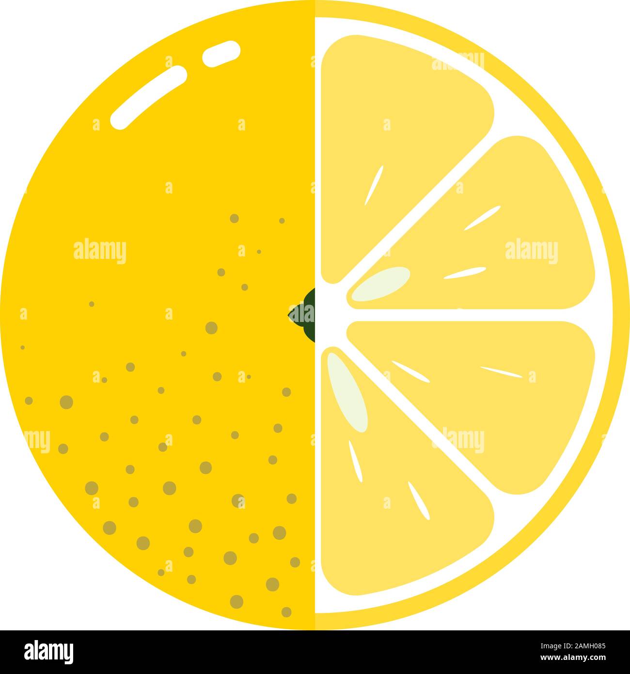 Lemon fruit sphere with half slice isolated on white background, flat ...