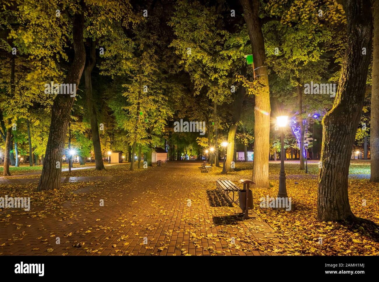 City night park in autumn with paths strewn with fallen yellow leaves ...