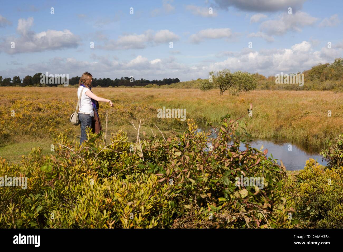 A girl alone in the heathlands of the New Forest, known as Penny Moor, Hampshire, England, UK.  MODEL RELEASED Stock Photo