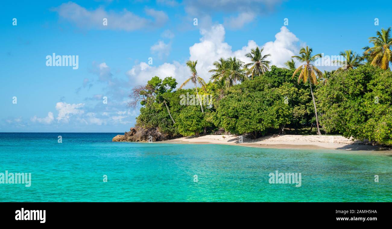 Panoramic landscape with white sand beach and palm trees on tropical Caribbean Island of the Dominican Republic. Stock Photo