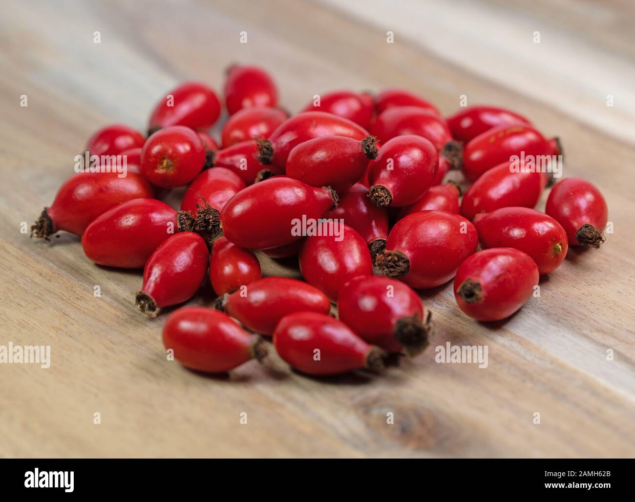 Freshly picked rose hips, Rosa Canina Stock Photo