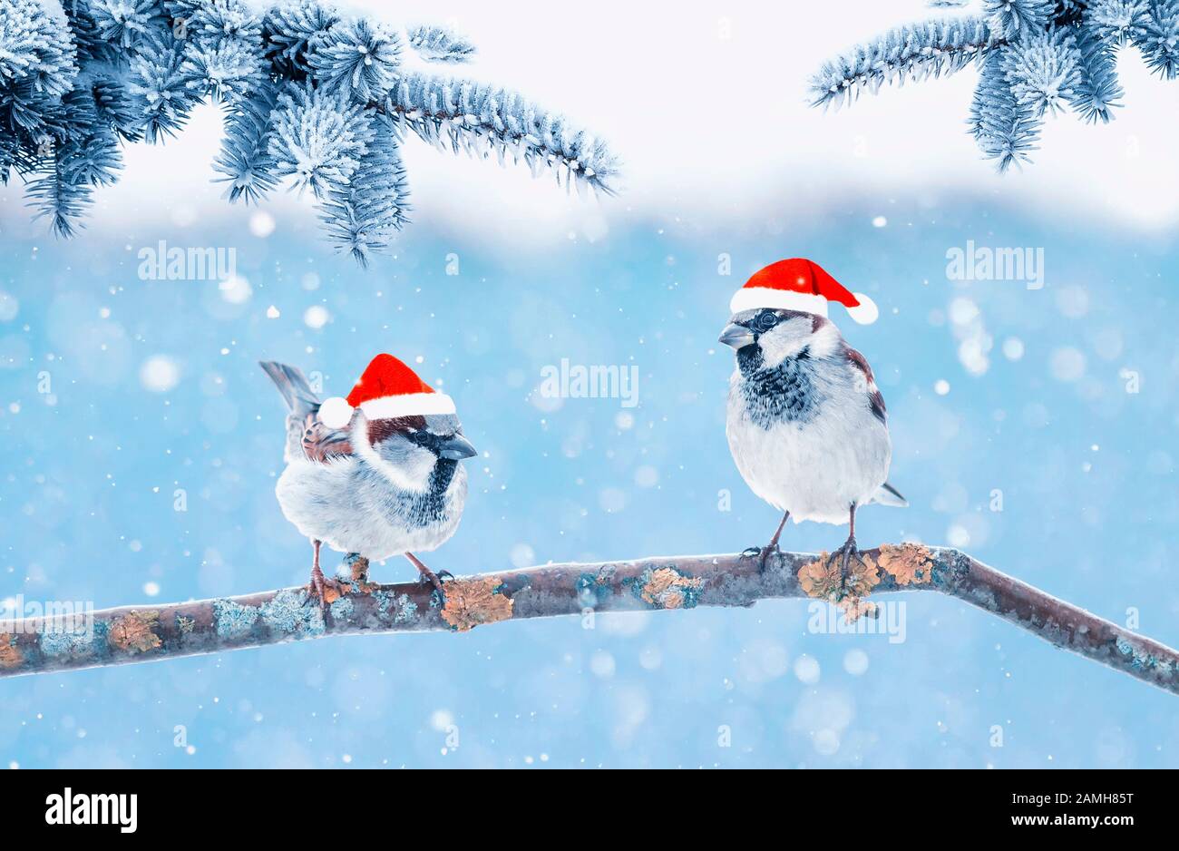 elegant christmas hats