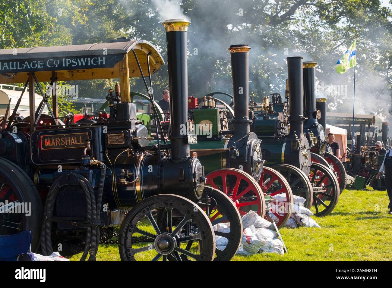 A row of smoking traction engines at 2019 Shrewsbury Steam Rally, Shropshire, England, UK Stock Photo