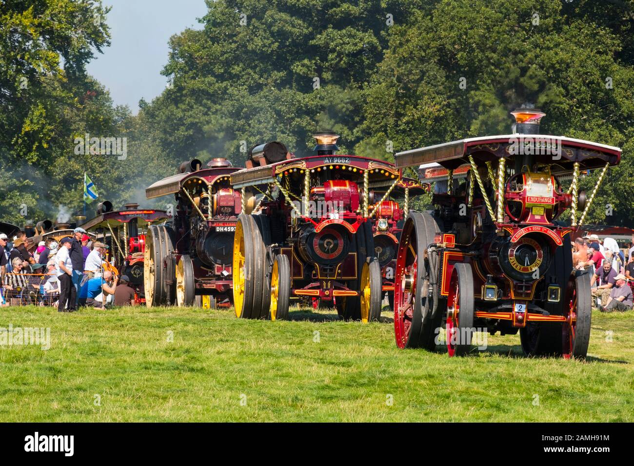 Parade of steam traction engines at 2019 Shrewsbury Steam Rally, Shropshire, England, UK Stock Photo