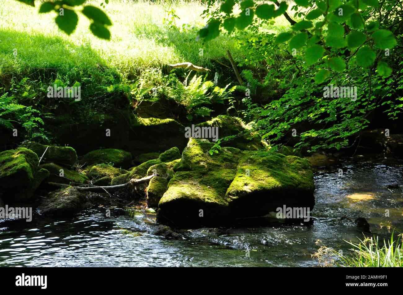 Gentle flowing stream on the Fowey river at the top of Golitha Falls as it passes into the ancient Oak woodlands on the edge of Bodmin moor in Cornwal Stock Photo