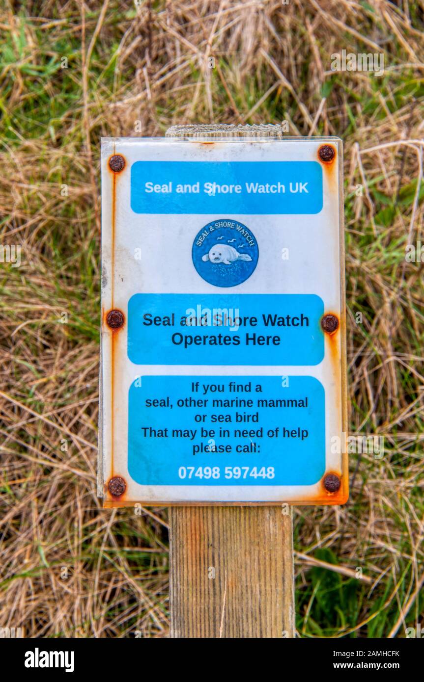 A Seal and Shore Watch UK sign at Overstrand on the Norfolk coast tells people how to deal with an abandoned seal, other marine mammal or bird. Stock Photo