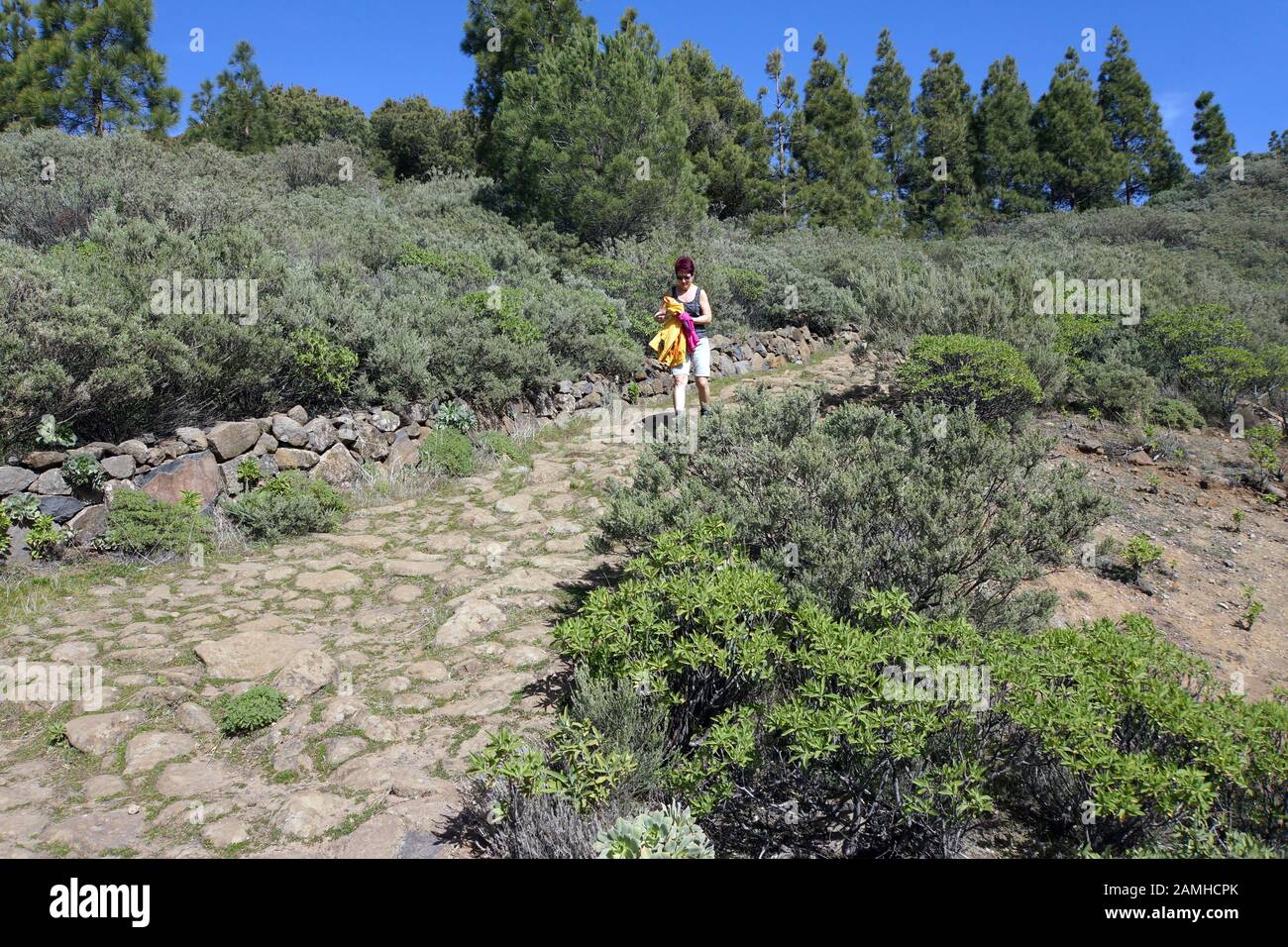 Wanderung vom Cruz Lanos de la Pez nach La Culata, Tejeda, Gran Canaria, Kanaren, Spanien Stock Photo