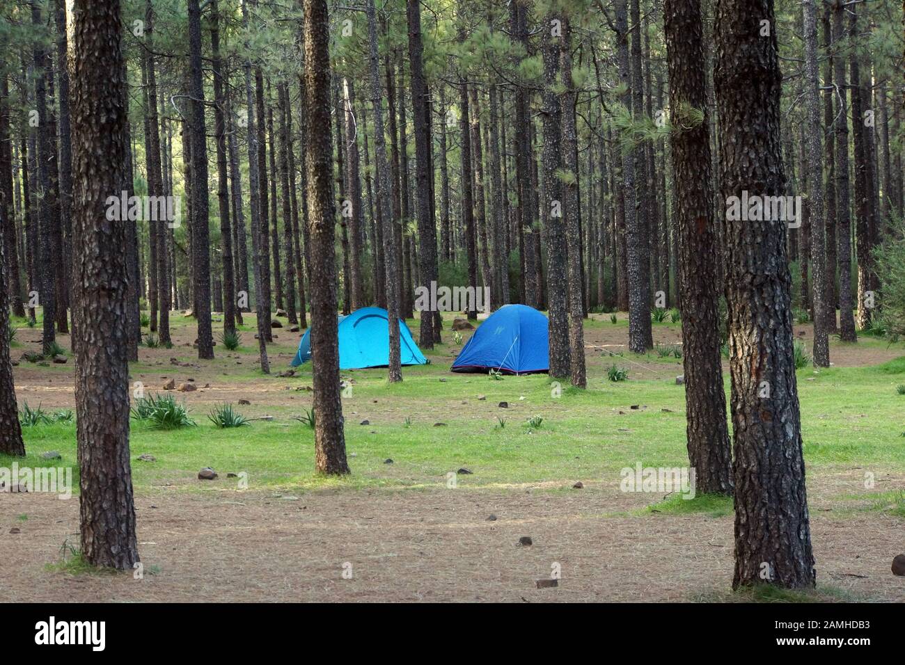 Zelt camping hi-res stock photography and images - Alamy