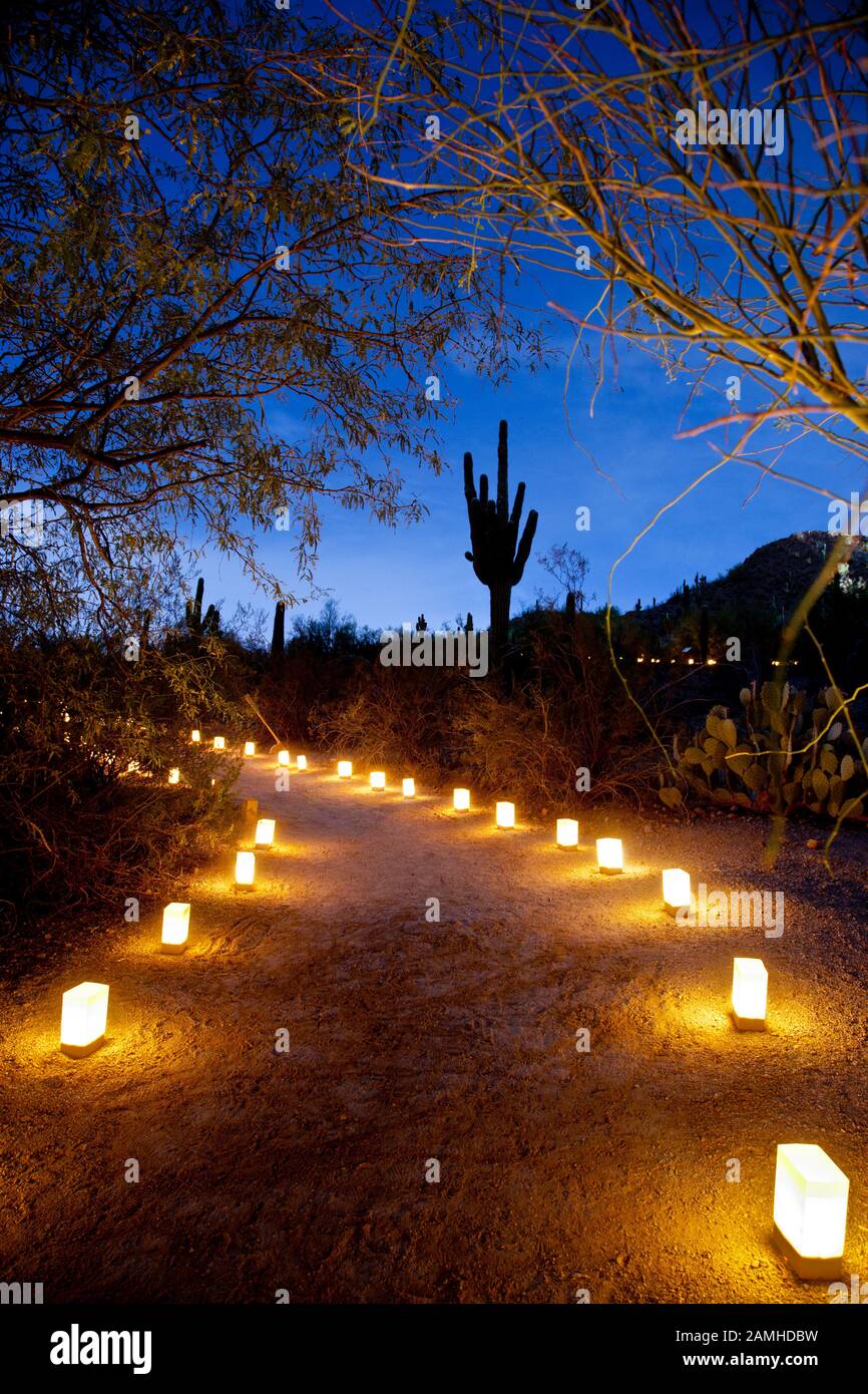 Phoenix luminaria, Phoenix, Arizona, USA Stock Photo Alamy