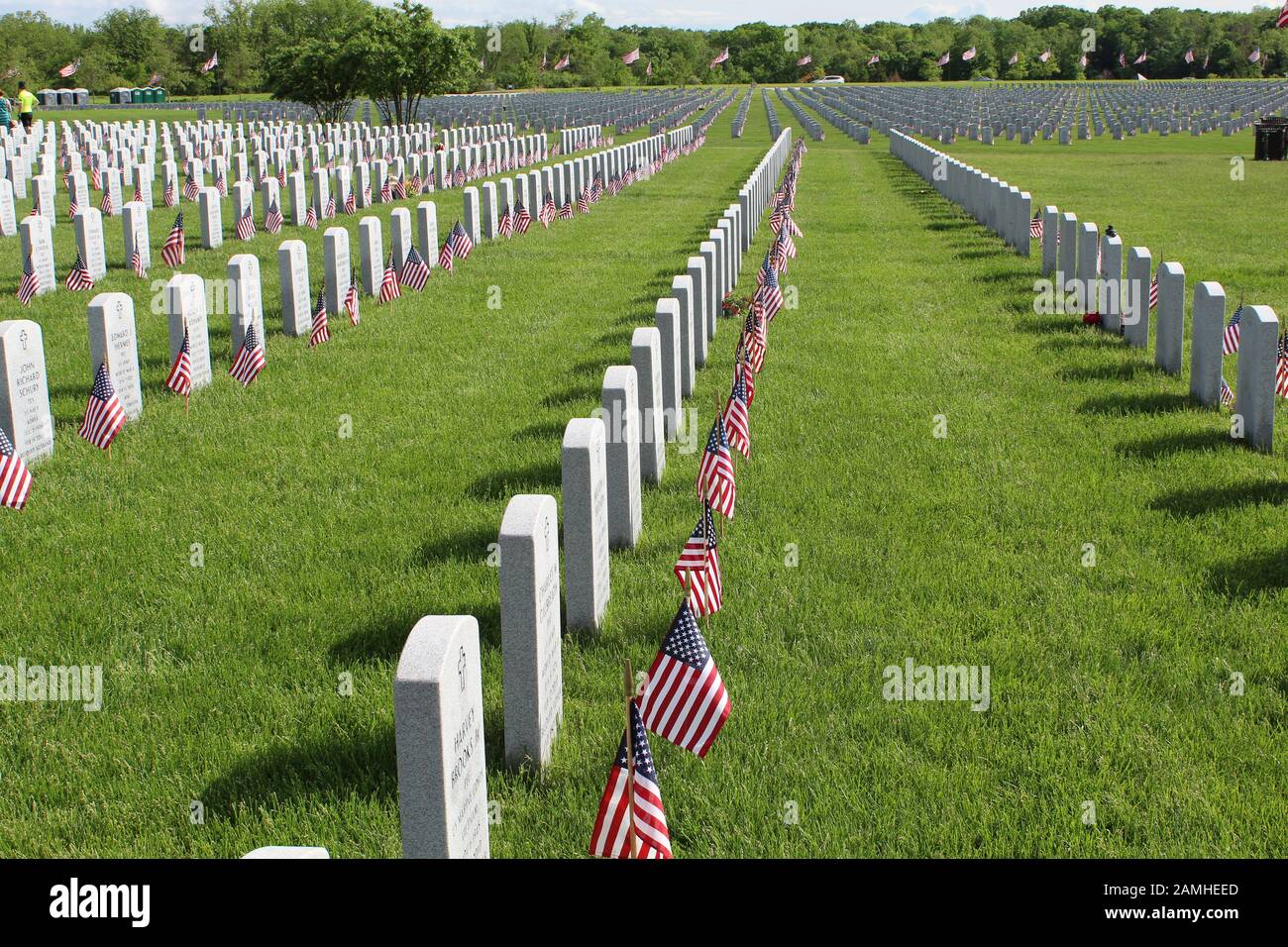 Veterans day 2024 clipart free