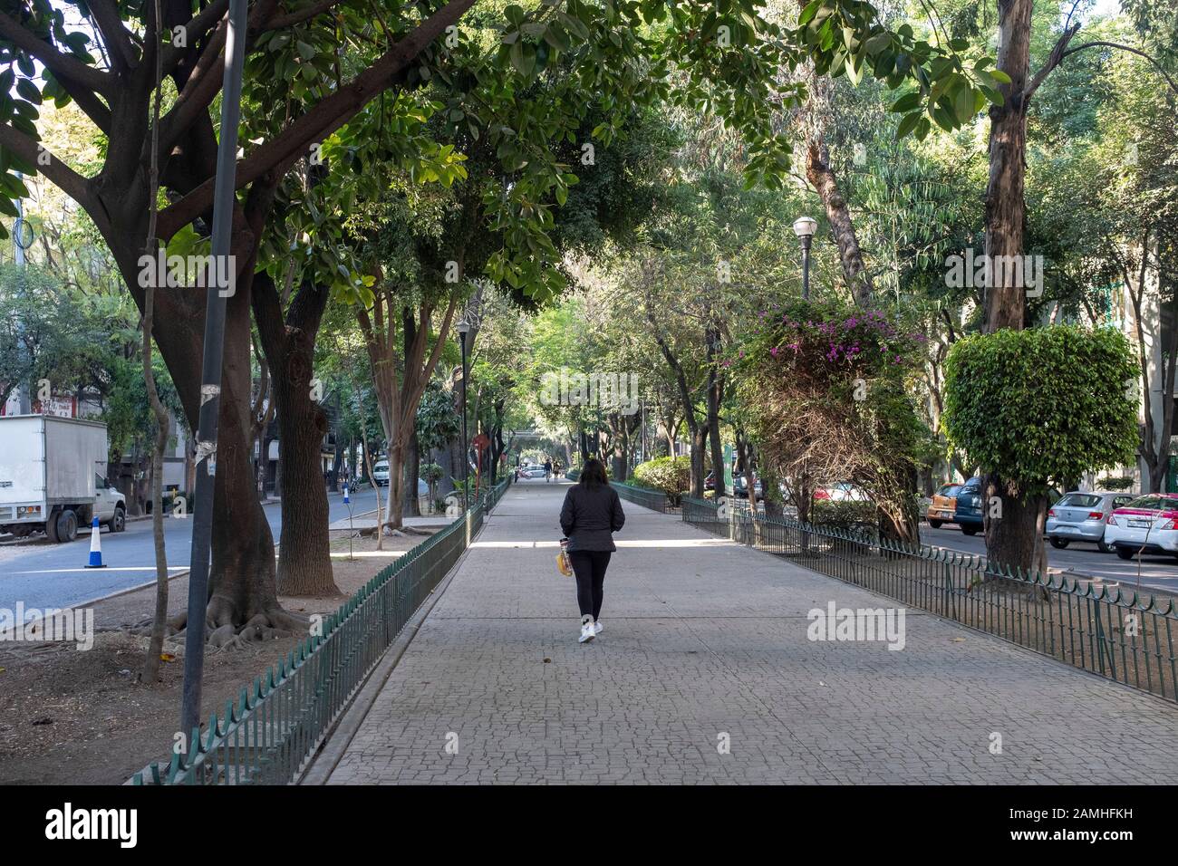 Avenida Mazatlan, Mexico City. Stock Photo