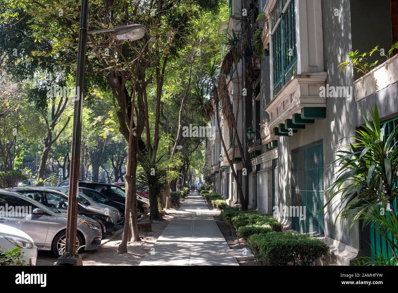Street scene, La Condesa. Stock Photo