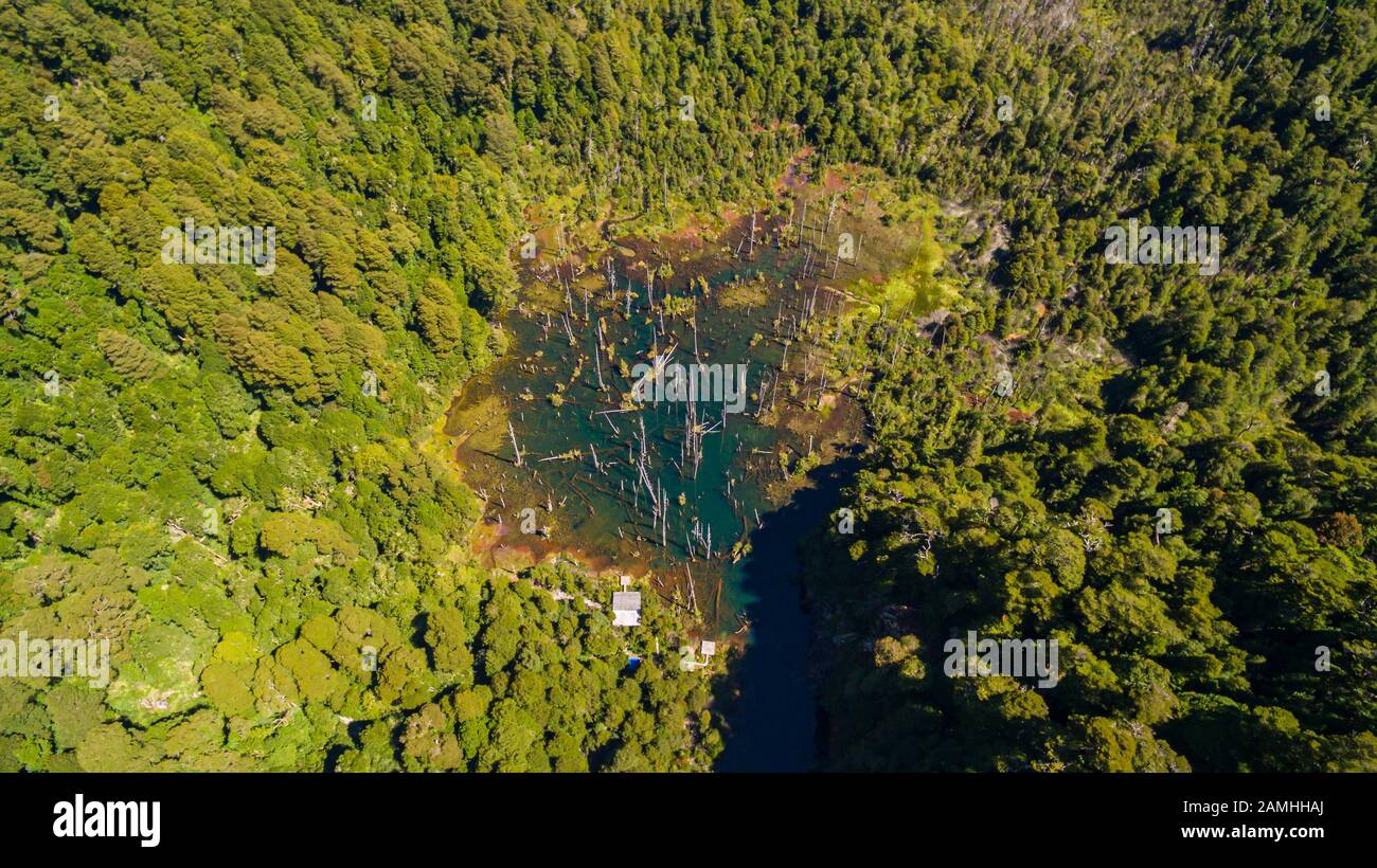 Aerial view of beautiful Los Alerces lagoon refuge, with ancient larches drowned by natural causes. Stock Photo