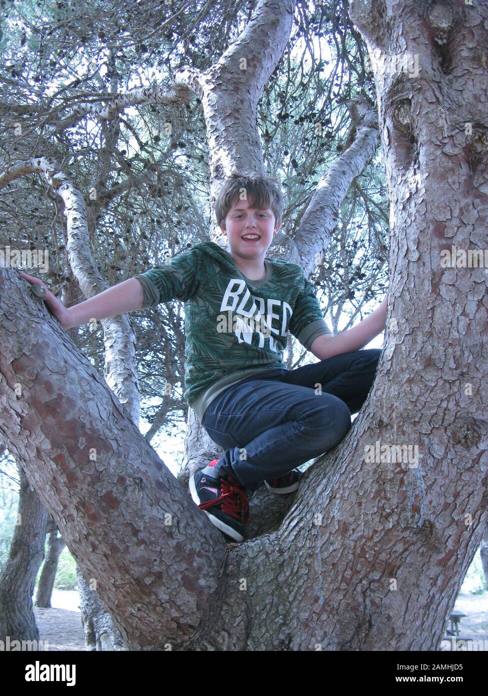 Boy in tree Stock Photo - Alamy