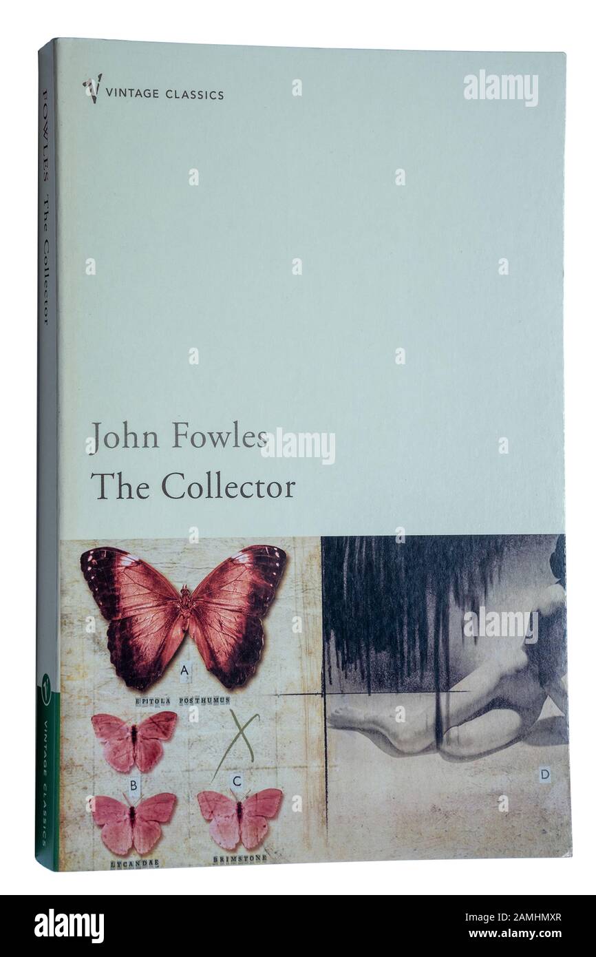 The Collector: A Novel