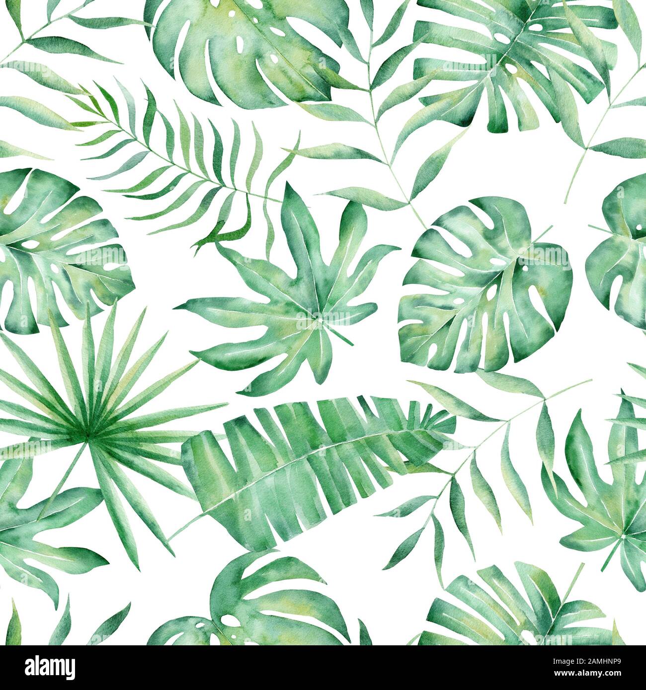 Monstera, palm and fern leaves hand drawn seamless pattern illustration. Trendy tropical plant drawing forest, botanical exotic textur Stock Photo - Alamy Monstera, palm and fern leaves hand drawn seamless pattern illustration. Trendy tropical plant drawing forest, botanical exotic textur Stock Photo - Alamy