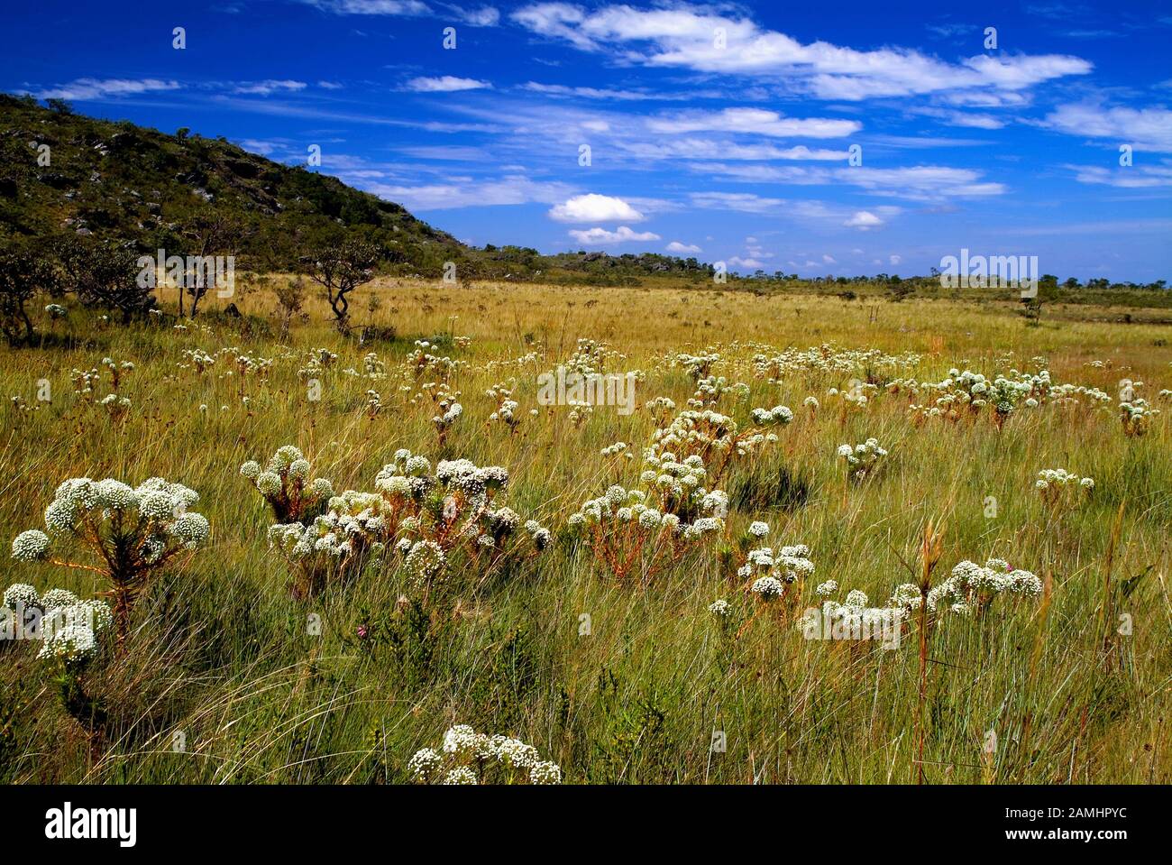 Gouvêia Minas Gerais fonte: c8.alamy.com Fonte: c8.alamy.com
