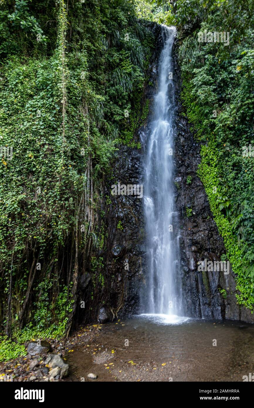 Waterfall at Dark View Falls, St. Vincent, Saint Vincent and the Grenadines,  Windward Islands, Caribbean, West Indies Stock Photo