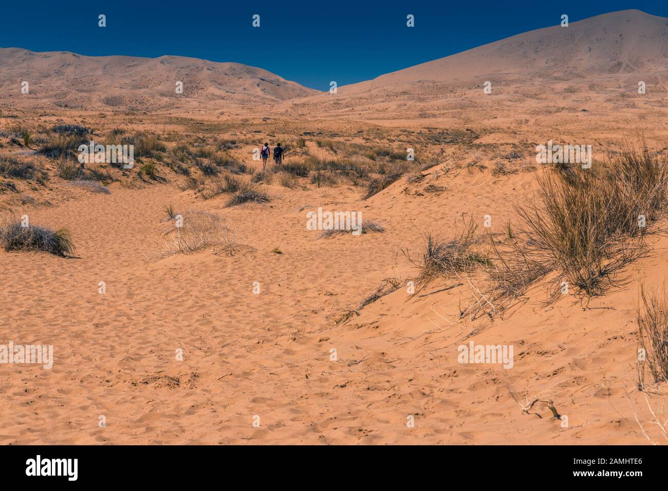 Couple walking in Kelso Sand dunes in Mojave National preserve, California, USA Stock Photo