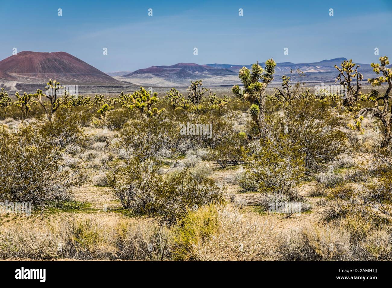 Desert wilderness Mojave National Preserve California USA Stock Photo