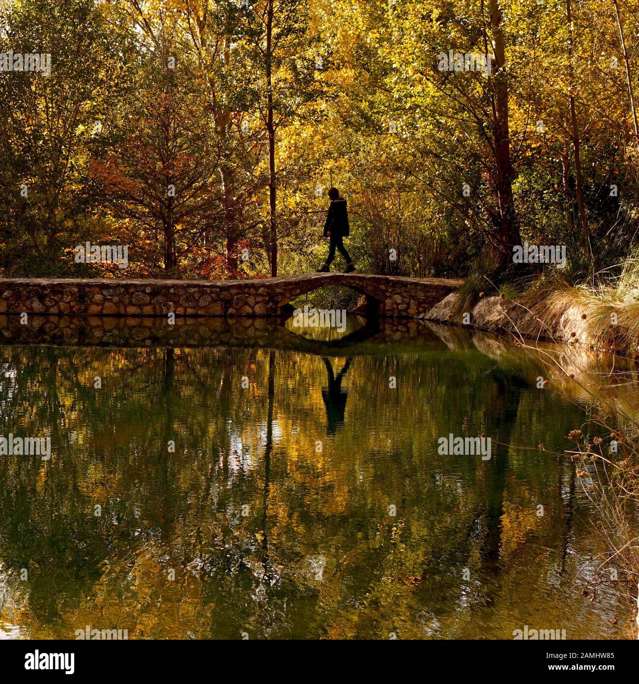 A silhouette of a man crossing a footbridge over a pond in autumn Stock Photo