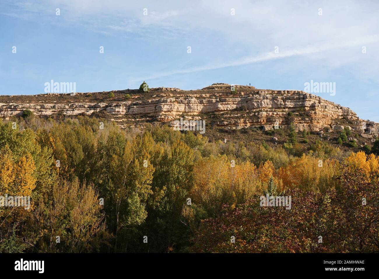 Landscape view of autumnal trees below a mountainous rock Stock Photo