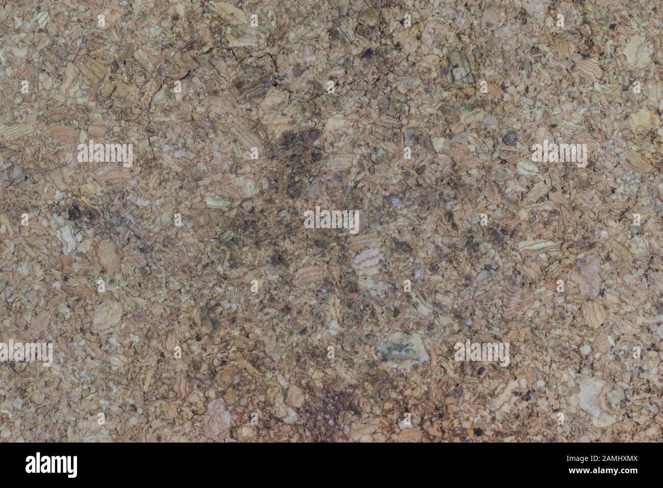Light wood and sawdust texture. Copy space background Stock Photo