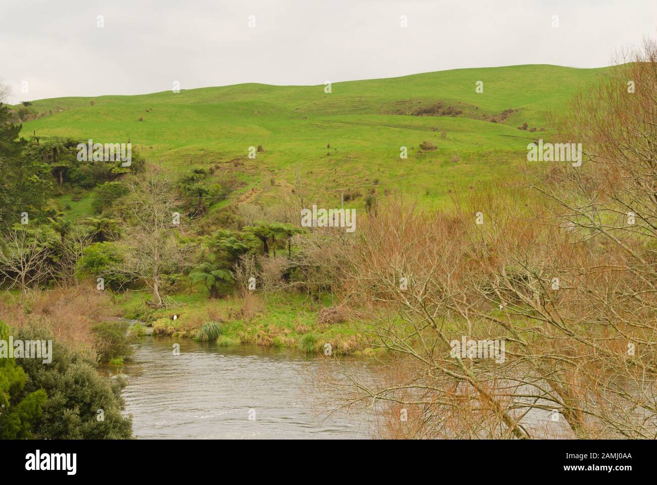 Agricultural land in the Bay of Plenty Region, North Island, New ...