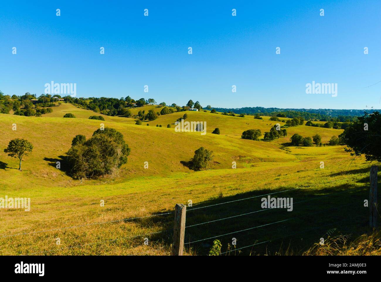 Range land in Queensland, Australia Stock Photo Alamy
