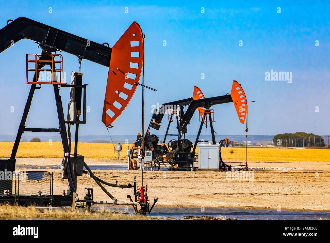 A group of pumpjacks are seen over oil wells in countryside of Alberta, Canada. Details of the nodding heads, walking beam, samson post and bridle rod Stock Photo