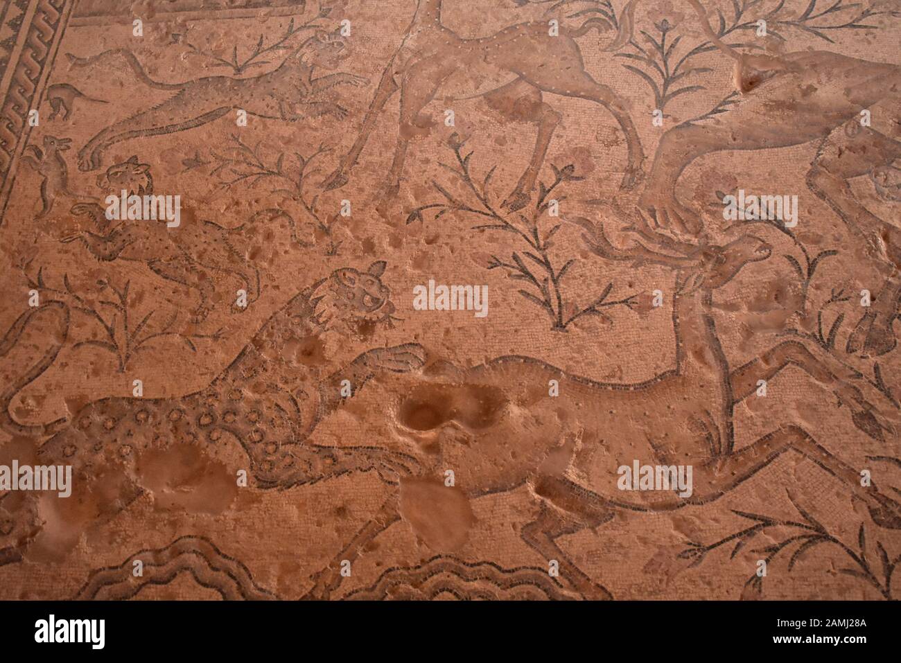 Ancient tiger and deer painting at Sepphoris Zippori National Park in ...