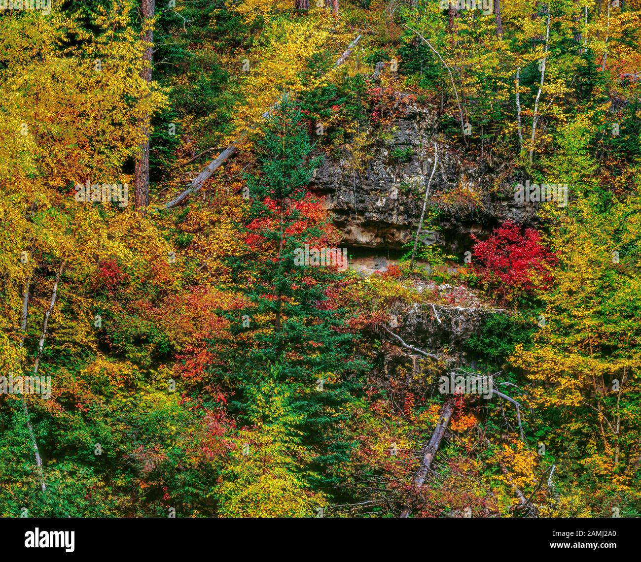 Black hills national forest hires stock photography and images Alamy