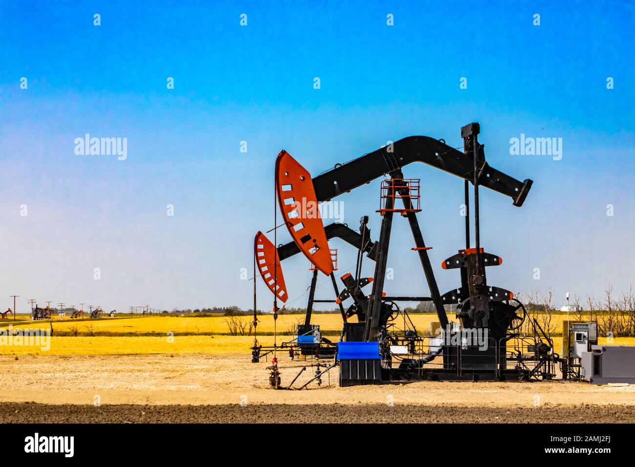 Late summer view of two modern oil wells with working nodding heads, against a background of golden crop fields and vibrant blue sky. Copy space to left Stock Photo